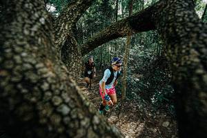 BIB: 
                            <button type="button" onclick="openModal(25391926)" class="btn btn-primary btn-sm float-right btn-popup" data-toggle="modal" data-target=".modal-high-quality">
                        <i class="fas fa-shopping-cart"></i> Add to Cart
                    </button>
                                            <button type="button" onclick="isThisMe(25391926, true)" class="btn btn-success btn-sm float-right btn-popup btn-isme hidden" data-toggle="tooltip" data-placement="bottom" title="นี่คือรูปของคุณใช่ไหม คลิกที่นี่เพื่อเอาเข้าอัลบั้ม">
                        <i class="fas fa-plus"></i> Add to album
                    </button>
                    <button type="button" onclick="isThisMe(25391926, false)" class="btn btn-warning btn-sm float-right btn-popup btn-isnotme hidden">
                        <i class="fas fa-ban"></i> Remove from album
                    </button>